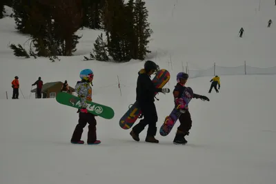 DSC_6726 (Large).JPG